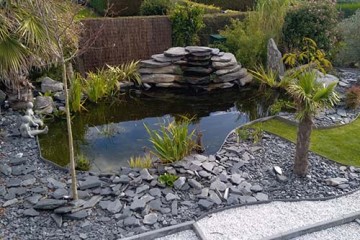 Réalisation d'un bassin à carpe KOÏ